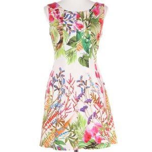 Zara cotton floral fit and flare dress